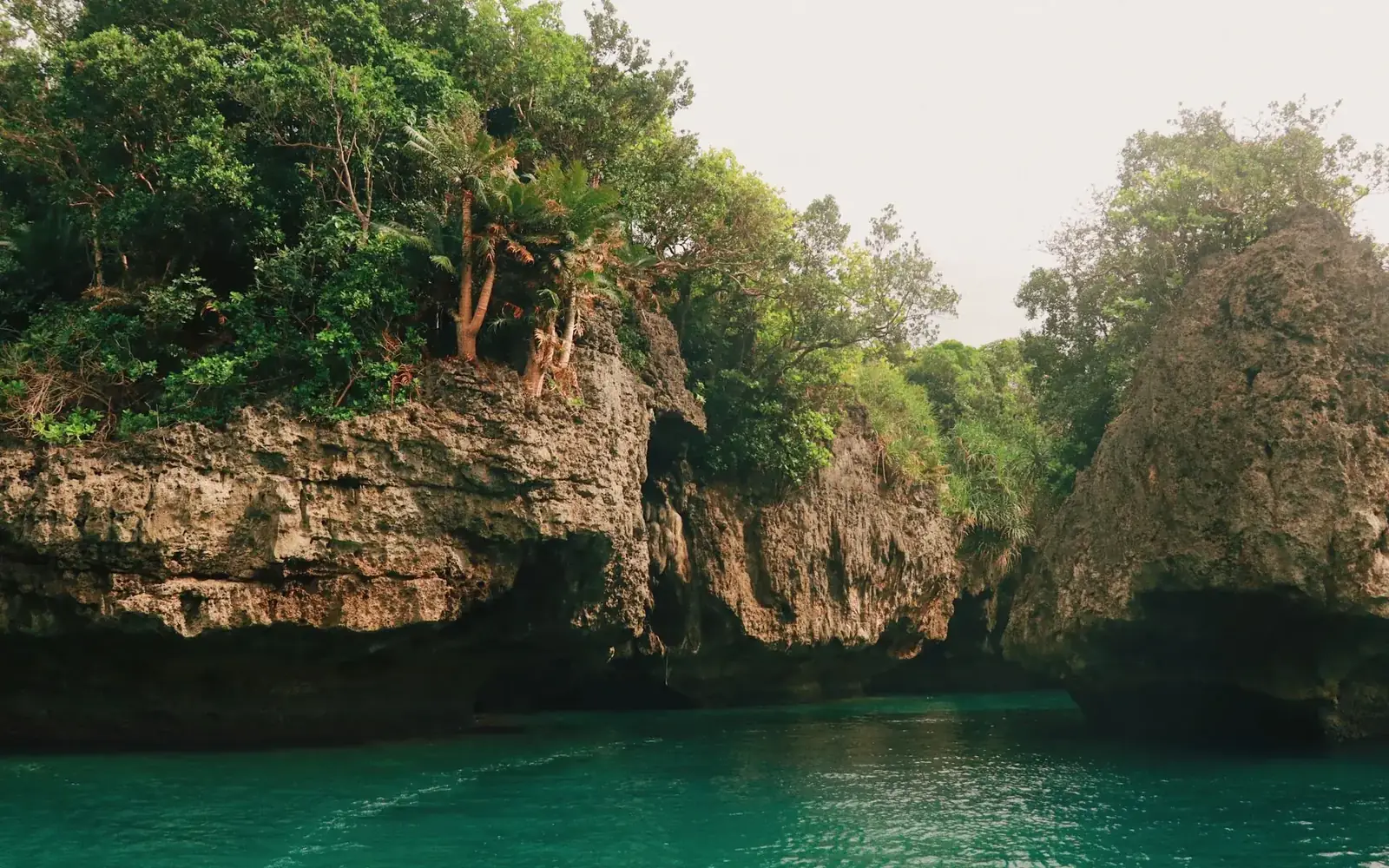 Oslob Whale Shark & Kawasan Falls gallery photo 4